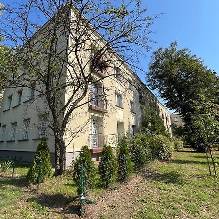 Apartament Centrum Rp Katoviçe Dış mekan fotoğraf